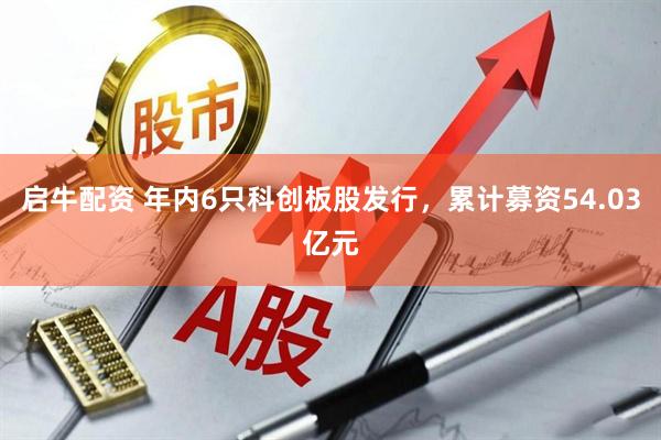 启牛配资 年内6只科创板股发行，累计募资54.03亿元