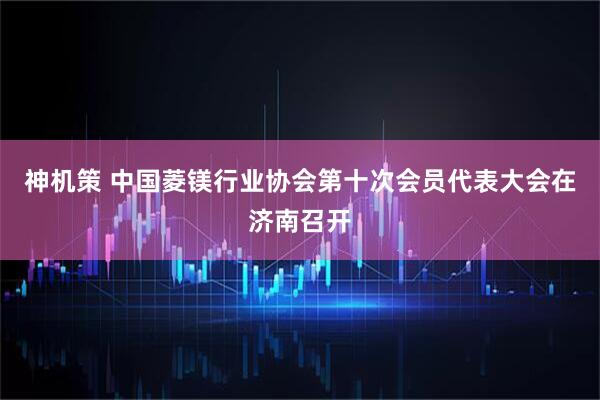 神机策 中国菱镁行业协会第十次会员代表大会在济南召开